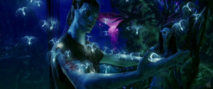 Avatar sau đó nhanh chóng vươn lên giành vị trí thứ nhất với doanh thu toàn thế giới vượt ngưỡng 2 tỉ $ và tạm thời là phim duy nhất đạt được điều này.